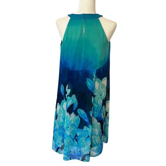 DB Established 1962 Beautiful Blue Floral Chiffon Dress.  Sleeveless. Size 6. - Picture 5 of 12